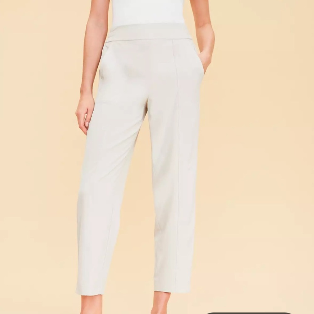 Ann Taylor Beige Wanderweave Ankle Pants Size L NWOT